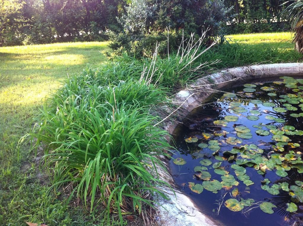 B&B Soiano Del Lago Bagian luar foto